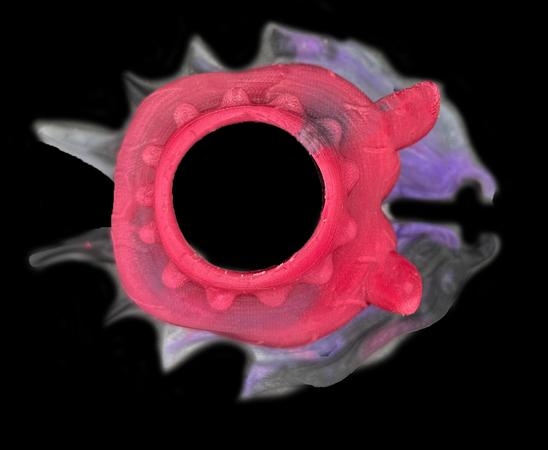 Vampire Wings Knot &amp; Fantasy Dildo Ring