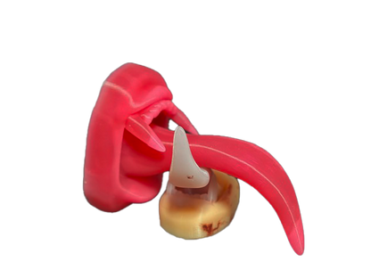 XL Vampire Licker Tongue - Ultimate Teaser Sex Toy - Mature - Vampire Fetish