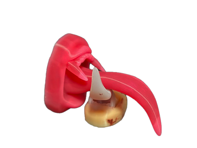 XL Vampire Licker Tongue - Ultimate Teaser Sex Toy - Mature - Vampire Fetish