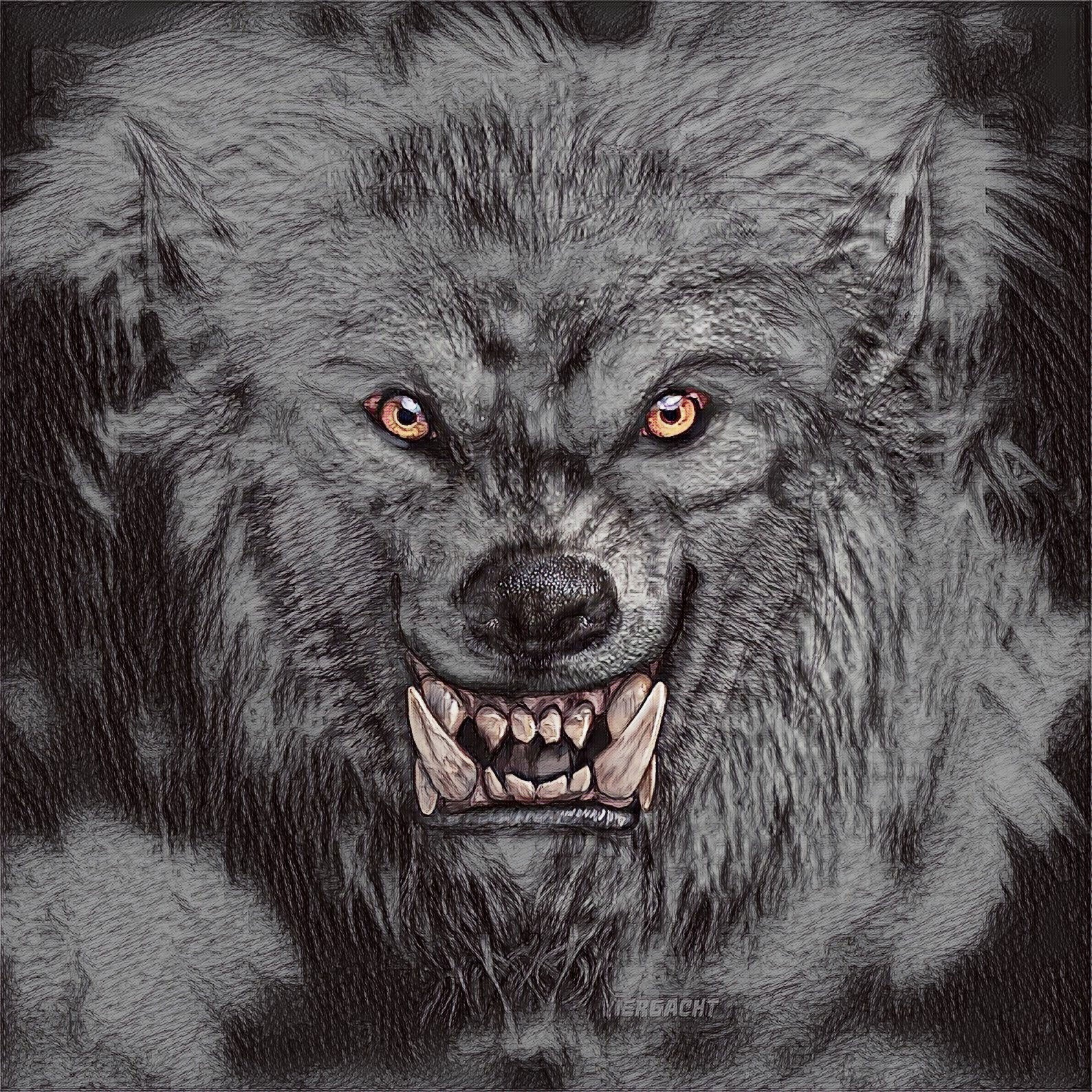 Werewolf Beast transformation