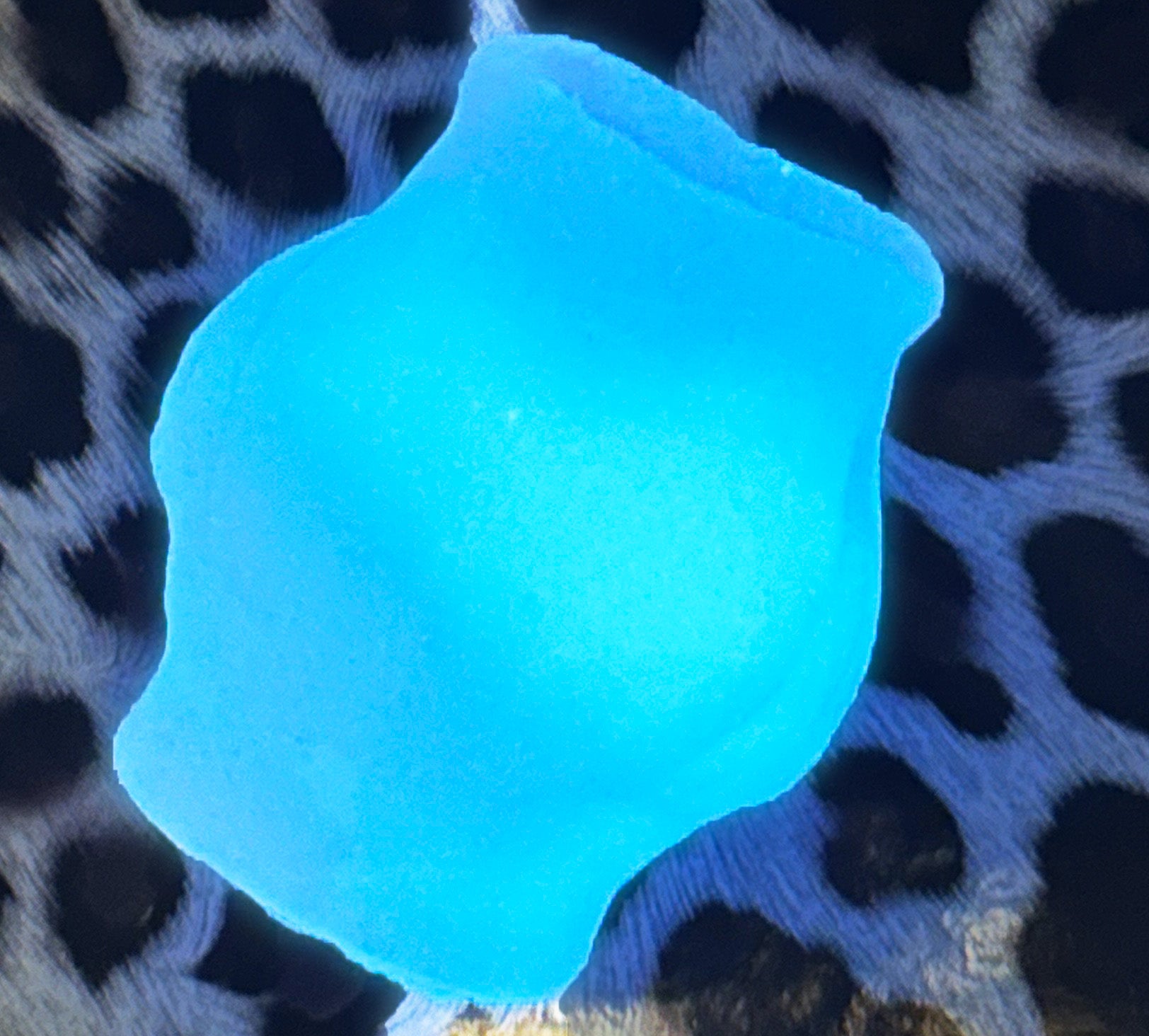 NarrowPass Knot - Gradual Insertion Adult Toy