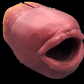 Mermaid Blow Job - Male Stroker