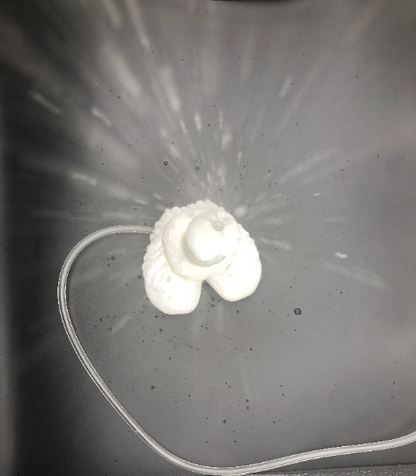 Werewolf King- Werewolf dildo - Custom 5 inch dildo